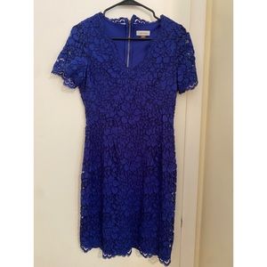 Calvin Klein Dress